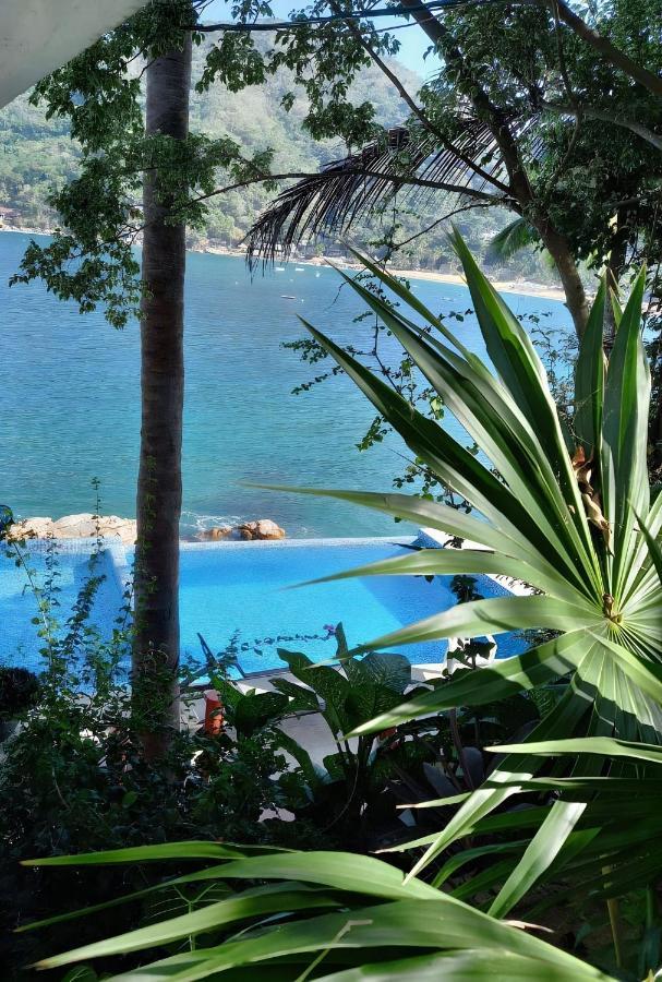 Villas Santa Cecilia "Villa Geegee" En Yelapa Buitenkant foto